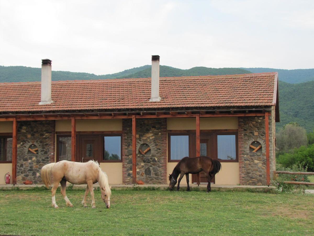 Ihnilatis Bed & Breakfast Kerkini Bagian luar foto